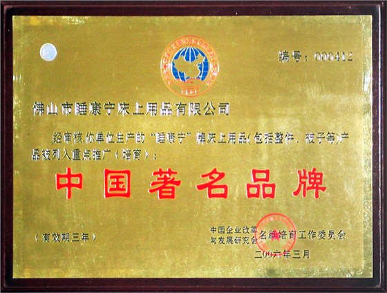 中國著名品牌證書