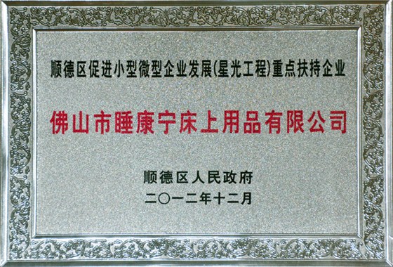 順德星光工程重點扶持企業證書