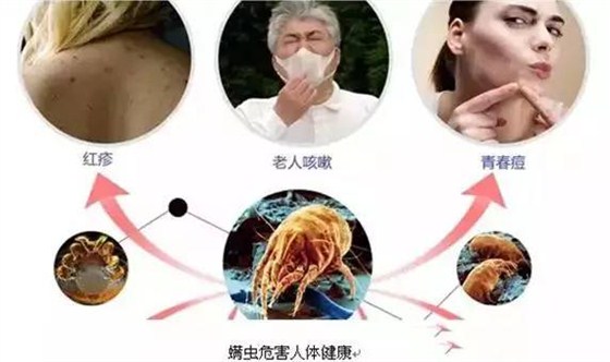 涼席批發