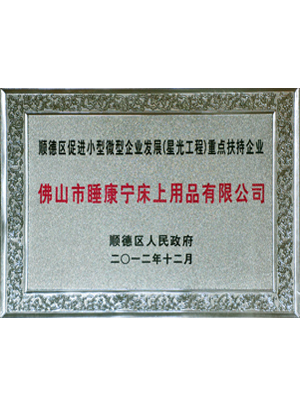 順德星光工程重點(diǎn)扶持企業(yè)證書(shū)
