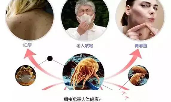 涼席批發